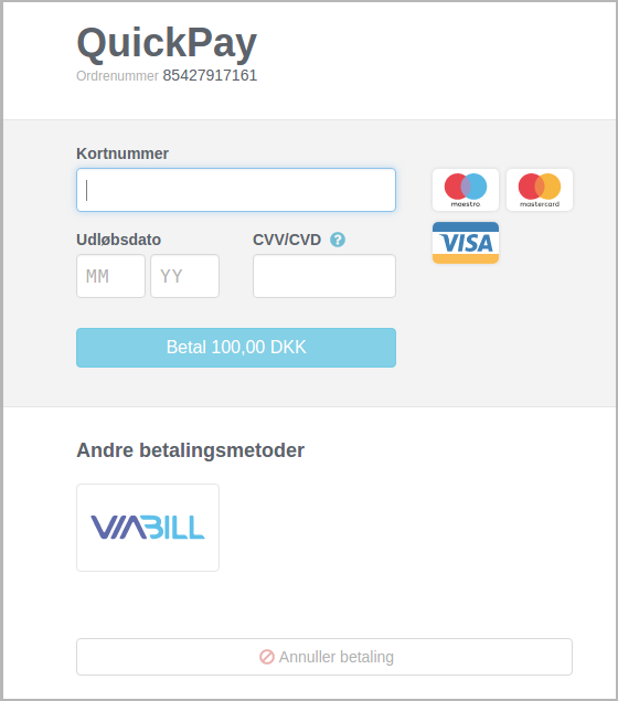 viabill-payment-window-da